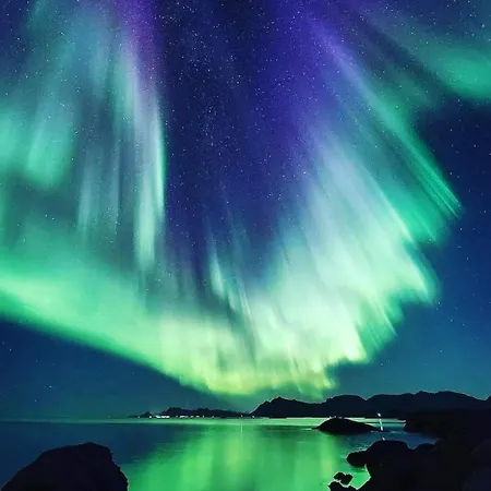 度假居 The Chess House Lofoten - Luxury Arctic In