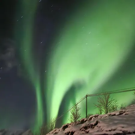 - 5 Bedrooms - Lofoten 펜션