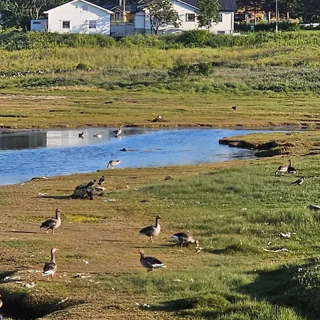 - 5 Bedrooms - Lofoten 펜션 Fredvang