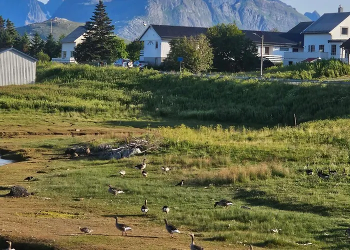 Dom wakacyjny - 5 Bedrooms - Lofoten *